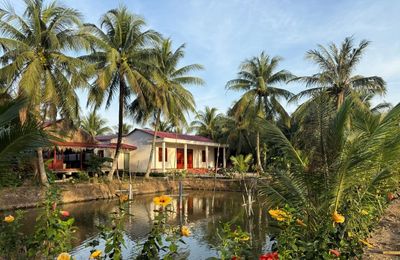 Vĩnh Long: Xã Nhị Long tiên phong mở lối du lịch cộng đồng