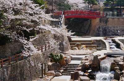Arima Onsen: Miền đất thiêng của suối nước nóng và văn hóa Nhật Bản