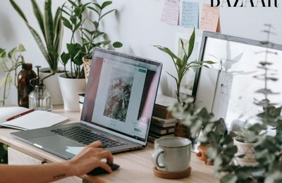 Cây thu hút tài lộc là loại nào, đặt ở đâu để phát huy tối đa hiệu quả?