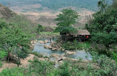 Du lịch Mộc Châu: Thời điểm lý tưởng nhất với mùa hoa nở “trắng trời”