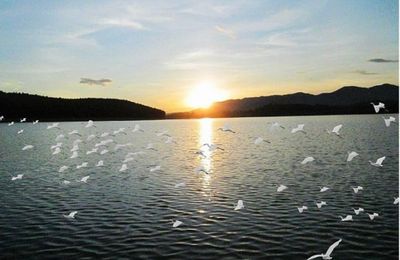 Yên Thành “quê lúa” với những điểm đến du lịch tâm linh và sinh thái trải nghiệm hấp dẫn
