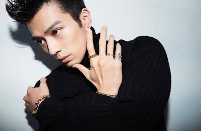 15 phim và chương trình truyền hình có sự tham gia của Arata Mackenyu