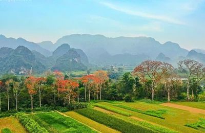 Anh Sơn - Điểm đến hấp dẫn từ chiều sâu lịch sử đến sắc màu lễ hội