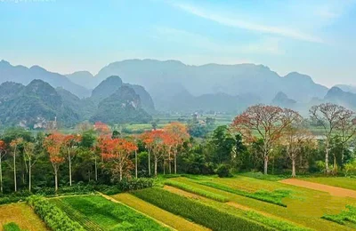 Anh Sơn - Điểm đến hấp dẫn từ chiều sâu lịch sử đến sắc màu lễ hội