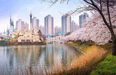 Top khách sạn Seoul thuận tiện ngắm hoa anh đào đẹp nhất 2026