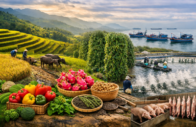 Xuất khẩu nông, lâm, thủy sản quý I/2026: Tăng trưởng trong thế phân hóa và yêu cầu nâng cao chất lượng
