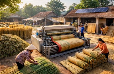 Khoa học – công nghệ trong phát triển làng nghề dệt chiếu cói: Thực tiễn và giải pháp