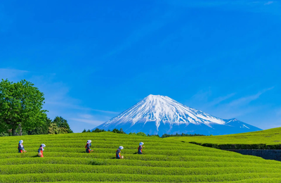 Top 4 tour Nhật Bản giá cực tốt cho mùa hè chỉ từ 21.499.000 VND/khách