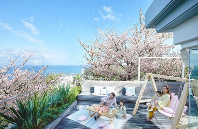 6 trải nghiệm ngắm hoa anh đào Nhật Bản độc đáo tại resort cao cấp 2026