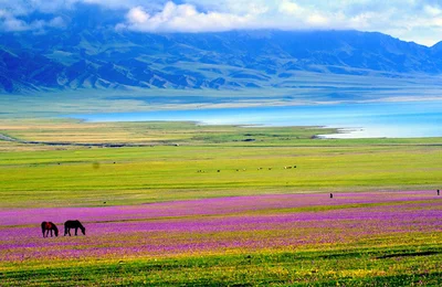 Trải nghiệm mùa hè rực rỡ với tour Bắc Tân Cương trọn gói