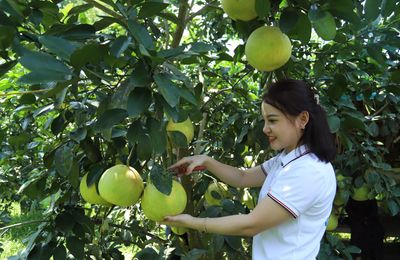 Nông thôn mới Hà Tĩnh: Điểm tựa hội nhập và cất cánh