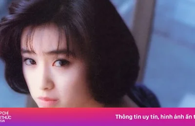 Ma túy nghiền nát sự nghiệp ngọc nữ, tài tử