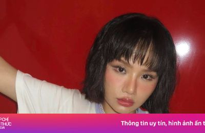Miu Lê trước khi bị khởi tố, bắt tạm giam