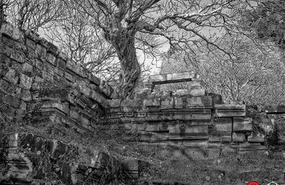 Triển lãm Inscape: Những nội cảnh mở ra từ thế giới hữu hình của Tom Hricko