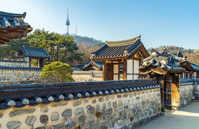 Top 9 tour Hàn Quốc tuyến Seoul – đảo Nami được yêu thích nhất 2026