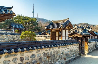 Top 9 tour Hàn Quốc tuyến Seoul – đảo Nami được yêu thích nhất 2026