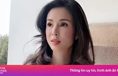Cuộc sống độc thân của Lý Nhược Đồng ở tuổi 60