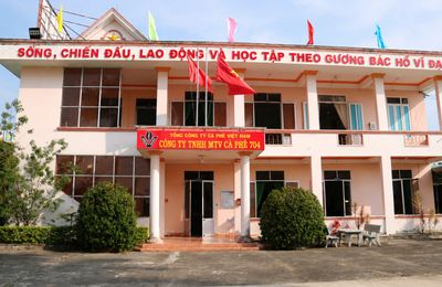 Công ty Cà phê 704: Khẳng định vị thế qua sự đổi mới và quản trị hiệu quả