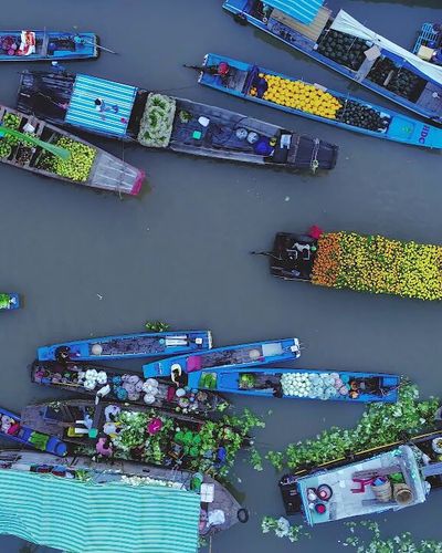 Có một Việt Nam tuyệt đẹp và đầy cảm xúc trong “Vietnam - An Aerial Concert”