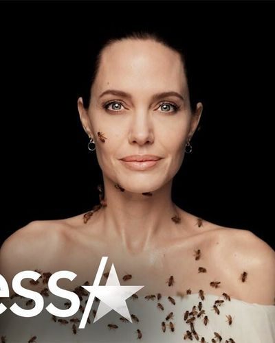Angelina Jolie chụp hình cùng ong mà không cần mặc đồ bảo hộ