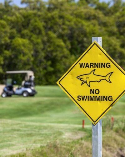 Bên trong sân golf duy nhất có hồ cá mập hung tợn nguy hiểm nhất thế giới