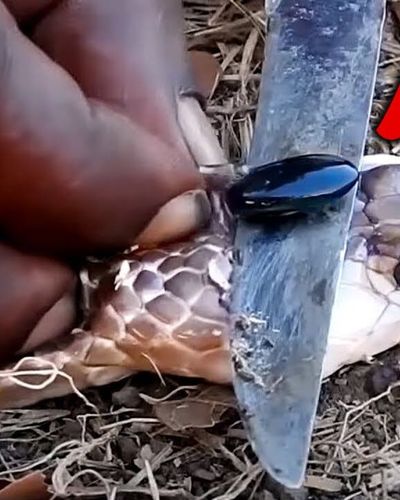 12 Viên đá hiếm và đắt nhất Thế Giới, không thể tìm thấy viên thứ 2.