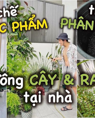Thùng rác high-tech 36 triệu, biến đồ ăn thừa thành phân bón hữu cơ để trồng rau.