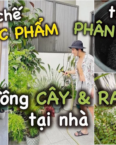 Thùng rác high-tech 36 triệu, biến đồ ăn thừa thành phân bón hữu cơ để trồng rau.