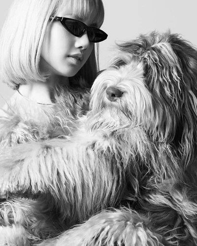 Celine ra mắt dòng phụ kiện dành cho thú cưng