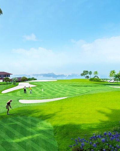 Liệu "ngành golf Việt Nam" có thừa tiềm năng và tiềm lực phát triển?