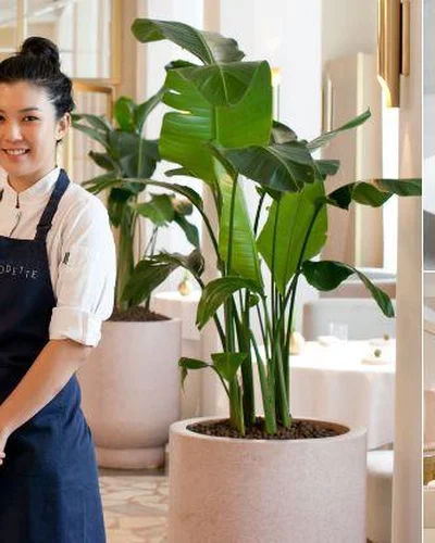 Louisa Lim trở thành nữ hoàng món tráng miệng châu Á như thế nào?