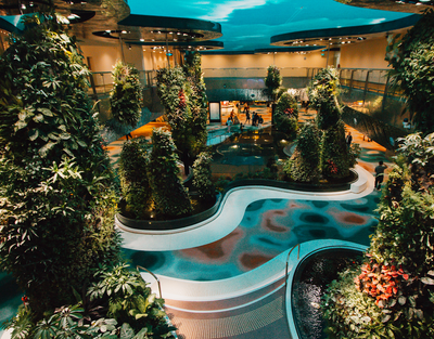 Sân bay Changi tái mở cửa nhà ga T2, hiện đại, đầy hơi thở thiên nhiên