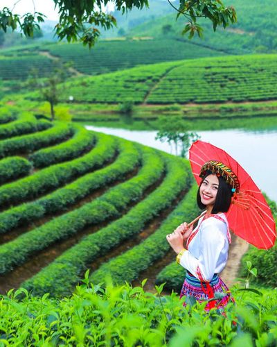 Dừng chân cảm nhận hồn quê xứ nghệ