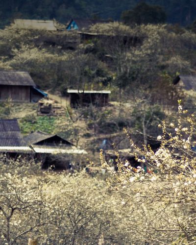 Miền Tây Nghệ An - Hãy đến và cảm nhận