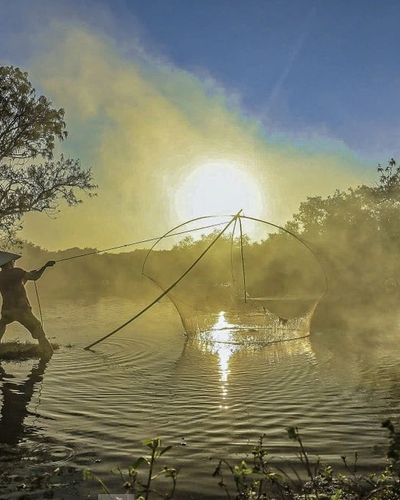 Đẹp mê mẩn rừng ngập mặn Huế mùa thay lá
