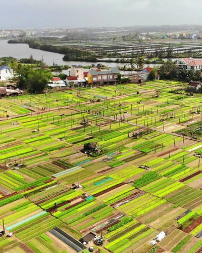 4 trải nghiệm phải thử ở làng rau Trà Quế – làng du lịch tốt nhất thế giới
