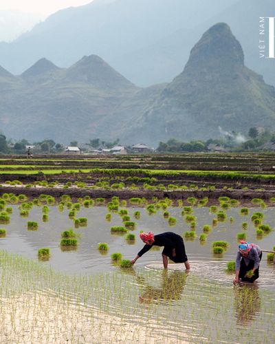 Du lịch Lai Châu mùa nào đẹp nhất trong năm?