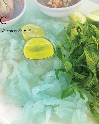 Con nuốc là con gì? Tìm hiểu về con nuốc Huế