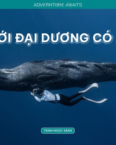 Từ Maldives đến Madagascar: Vạn dặm dưới đáy đại dương