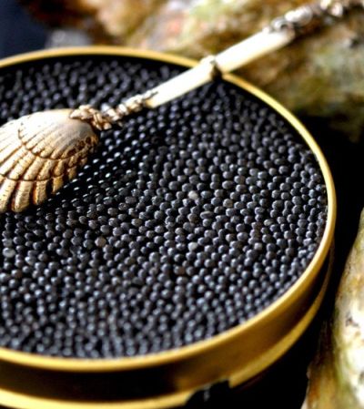 Trứng cá tầm Nga: Đỉnh cao chất lượng và giá trị dinh dưỡng