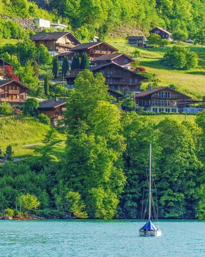Interlaken và bối cảnh bộ phim “Hạ Cánh Nơi Anh”