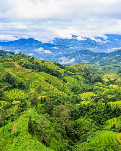 Hà Giang: Mê mẩn ‘bức tranh’ ruộng bậc thang mùa lúa xanh ở Hoàng Su Phì