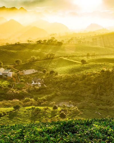 Địa phương Việt Nam từng được vinh danh "hàng đầu thế giới", được ví như viên ngọc xanh, mùa nào cũng đẹp