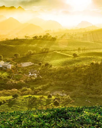 Địa phương Việt Nam từng được vinh danh "hàng đầu thế giới", được ví như viên ngọc xanh, mùa nào cũng đẹp