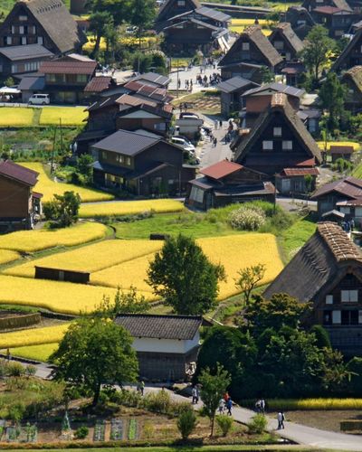 Làng cổ Shirakawa-go và lời nguyện cầu trong tuyết trắng