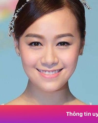 Huỳnh Tâm Dĩnh giải nghệ