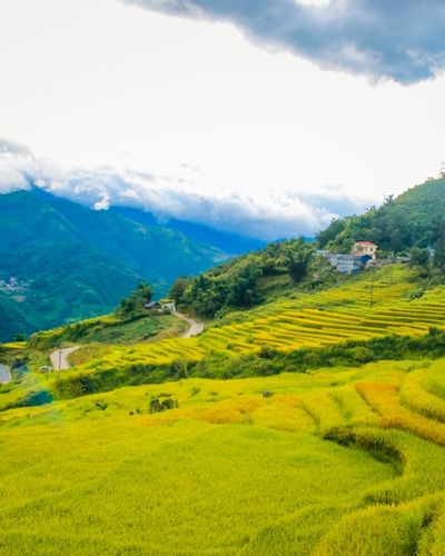 Y Tý: Thiên đường săn mây ở Lào Cai
