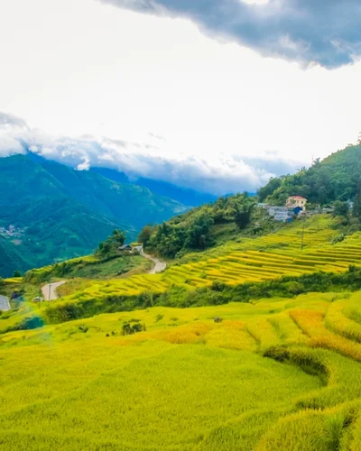 Y Tý: Thiên đường săn mây ở Lào Cai