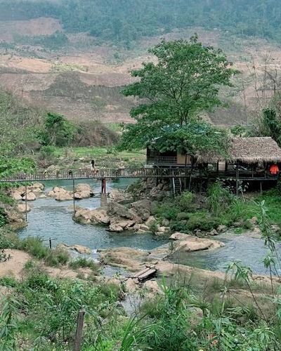 Du lịch Mộc Châu: Thời điểm lý tưởng nhất với mùa hoa nở “trắng trời”