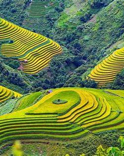 Núi rừng Tây Bắc - Nơi mây trôi trên những bậc thang của núi